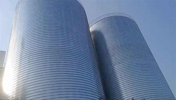 靖远2座混凝土高架卷板仓